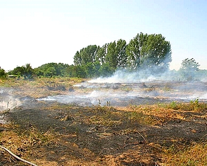 Ismét elrendelték a tűzgyújtási tilalmat