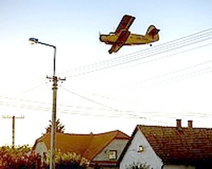 Irtó nagy irtás lesz