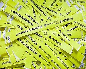Mozgás Éjszakája 2019