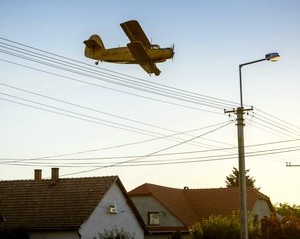 Újabb szúnyoggyérítés lesz Vásárhelyen