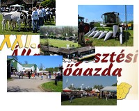 A hazai mezőgazdaság legjava